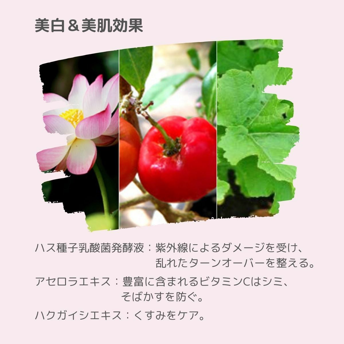 薬用DLローション(化粧水 / 医薬部外品) | 本物の宝石成分配合の煌めく